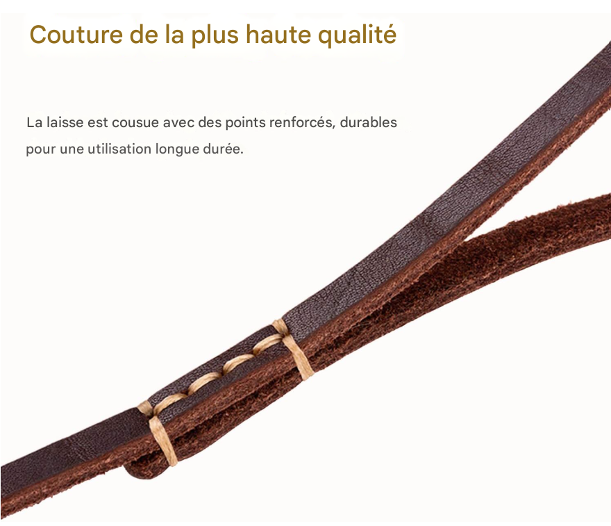 Laisse pour chien_-_ClassyLeather_-_Cuir_cousu_a_la_main