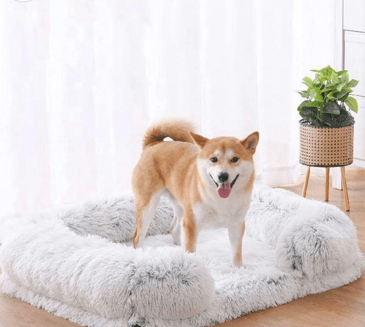 Canapé pour Chien - SquareDogCouch™ - Marron - beige - Mr Chien