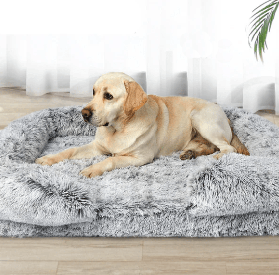 Canapé pour Chien - SquareDogCouch™ - Marron - foncé - Mr Chien