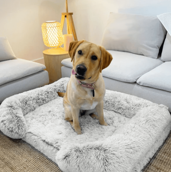 Canapé pour Chien - SquareDogCouch™ - Novo - gris - Mr Chien