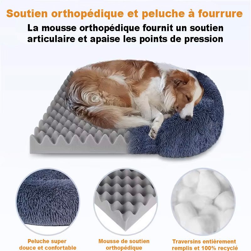Canapé pour Chien - SquareDogCouch™ - Turquoise - Mr Chien