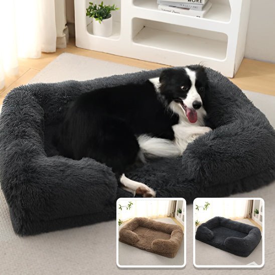 Canapé pour Chien - SquareDogCouch™ - Turquoise - Mr Chien