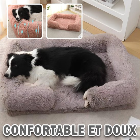 Canapé pour Chien - SquareDogCouch™ - Turquoise - Mr Chien