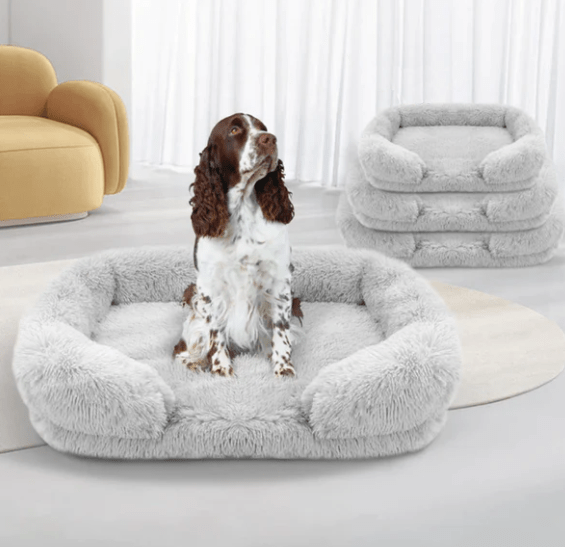 Canapé pour Chien - SquareDogCouch™ - Vibrant - vert - Mr Chien