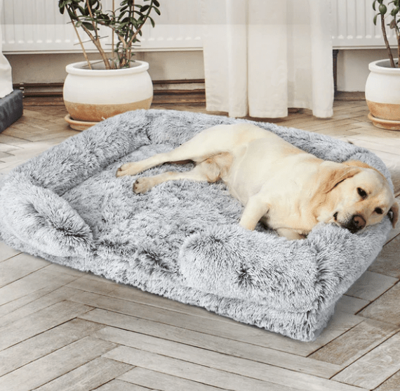 Canapé pour Chien - SquareDogCouch™ - Vibrant - vert - Mr Chien
