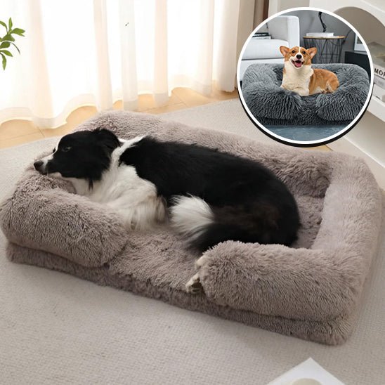 Canapé pour Chien - SquareDogCouch™ - Vibrant - vert - Mr Chien