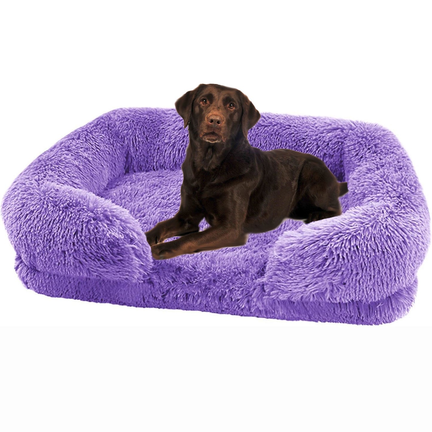 Canapé pour Chien - SquareDogCouch™ - Vibrant - violet - Mr Chien