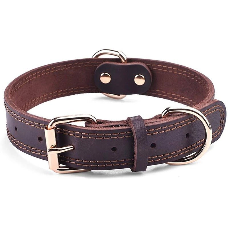 Collier pour chien - ClassyLeather™ - Marron - Mr Chien