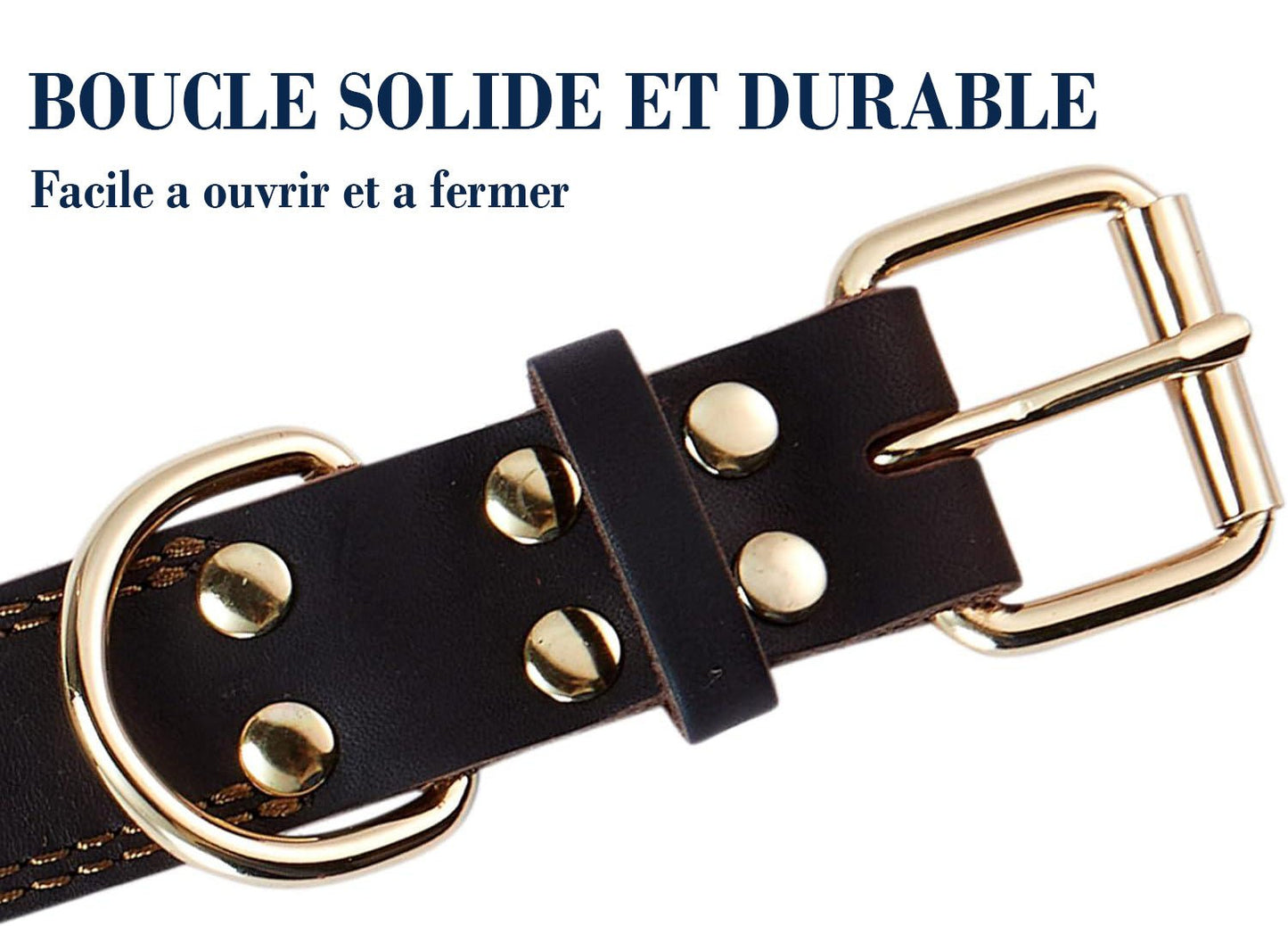 Collier pour chien - ClassyLeather™ - Noir - Mr Chien