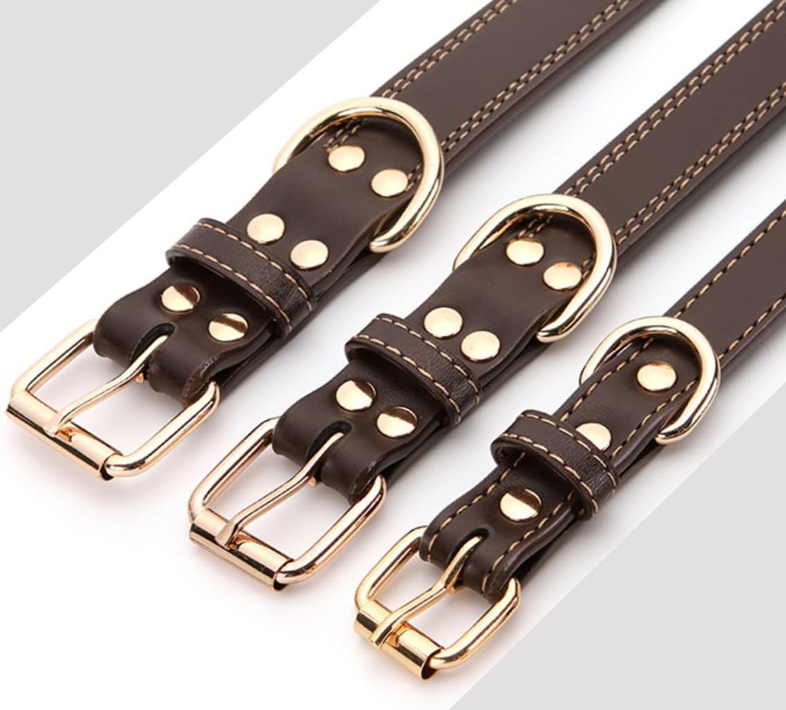 Collier pour chien - ClassyLeather™ - Noir - Mr Chien