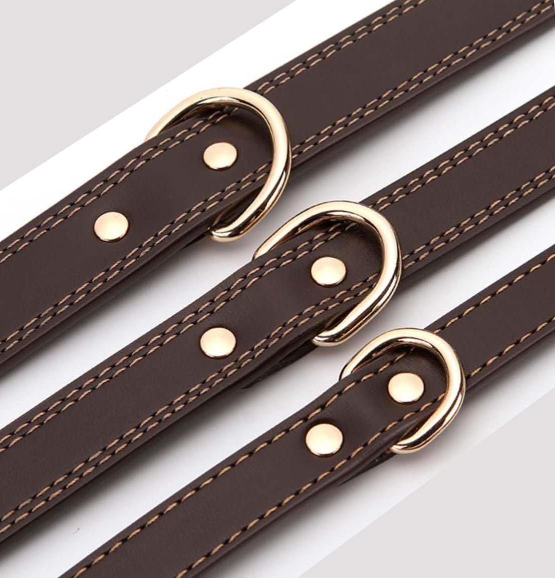 Collier pour chien - ClassyLeather™ - Noir - Mr Chien
