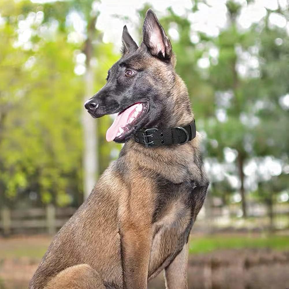 Collier pour chien - K9™ - Noir - Mr Chien