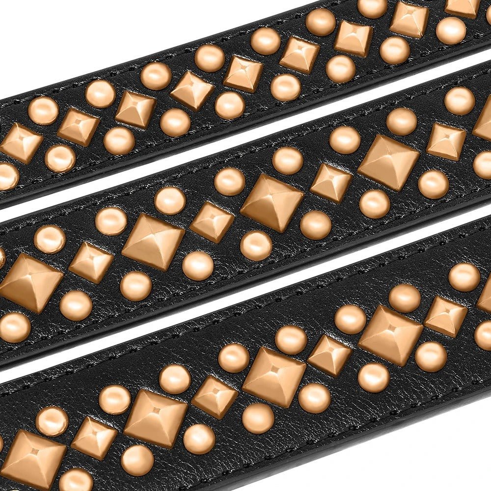 Collier pour chien - NoBite™ - Noir - Mr Chien