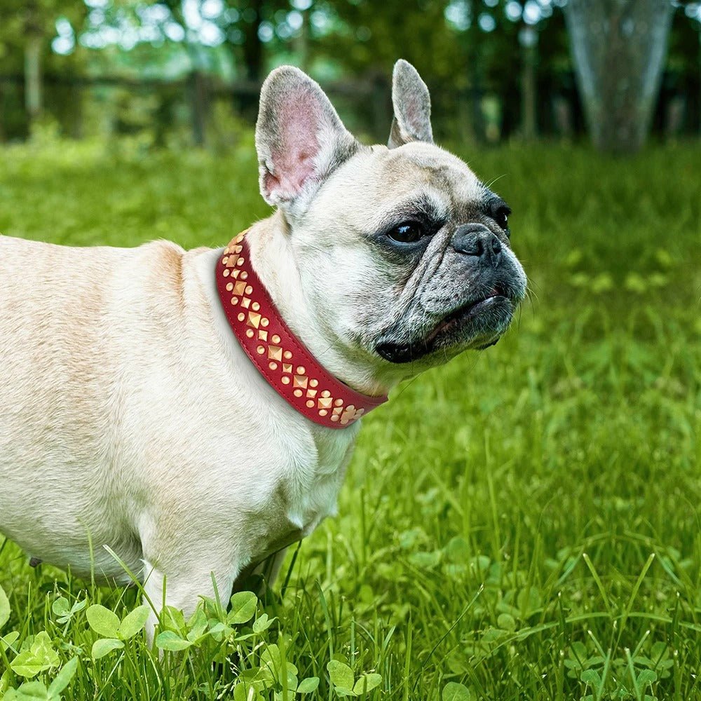 Collier pour chien - NoBite™ - Rouge - Mr Chien