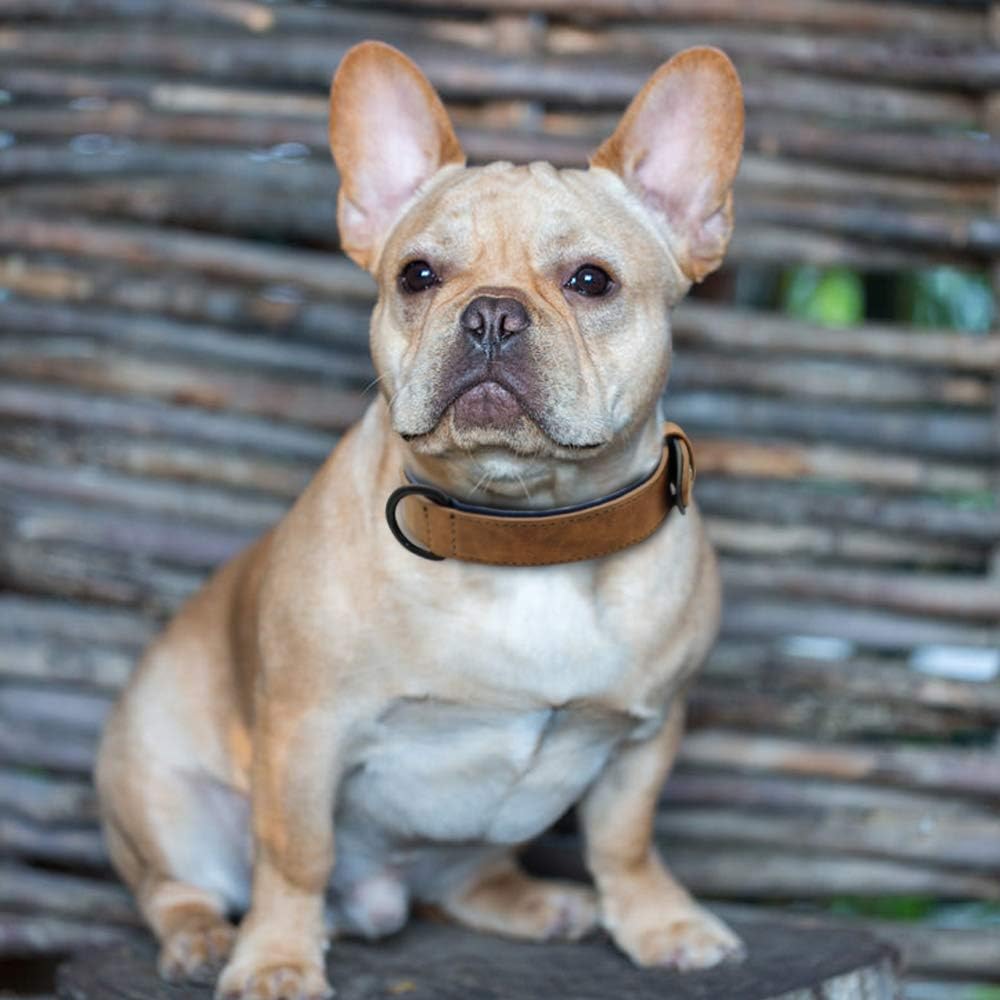 Collier pour chien - Pastel™ - Camel - Mr Chien