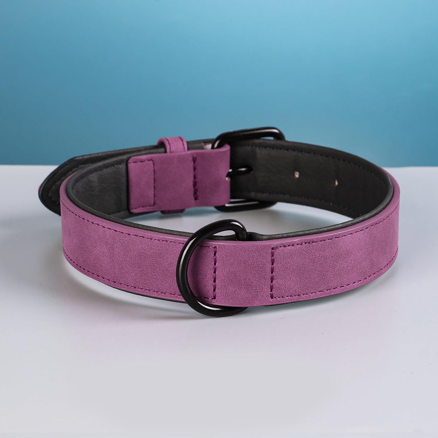 Collier pour chien - Pastel™ - Violet - Mr Chien