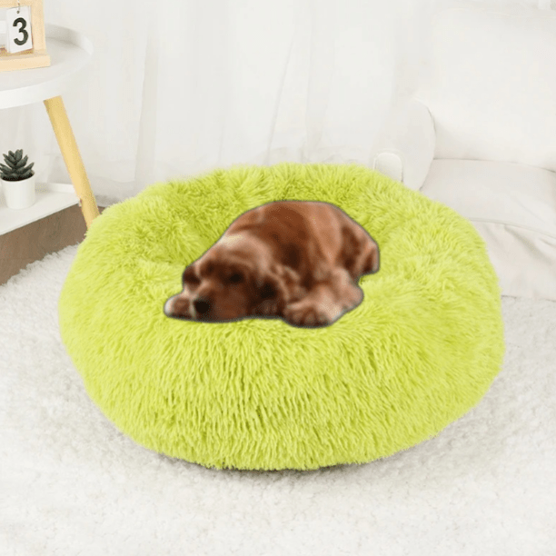 Coussin pour Chien - CozyDogDonutâą - Vert - Mr Chien