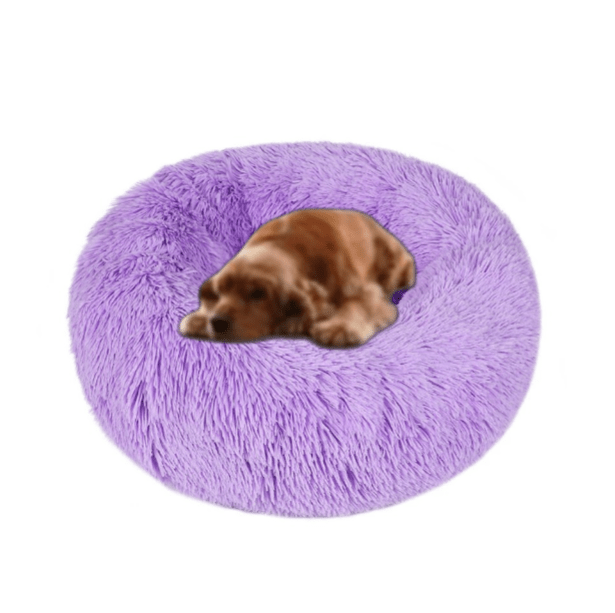 Coussin pour Chien - CozyDogDonutâą - Violet - Mr Chien