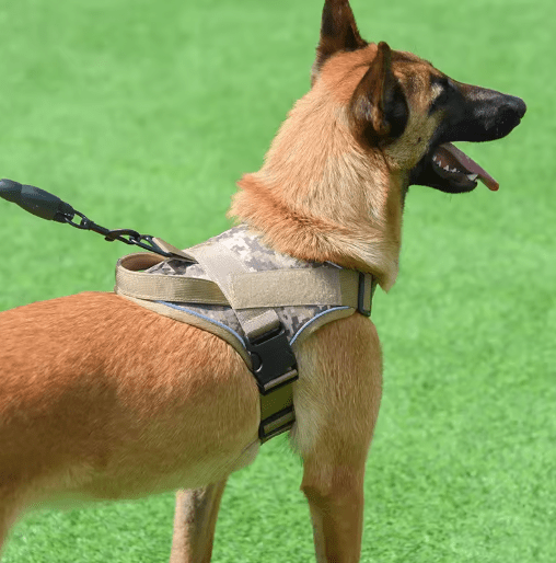 Harnais Chien - CrossArmy™ - Armee Vert - Mr Chien