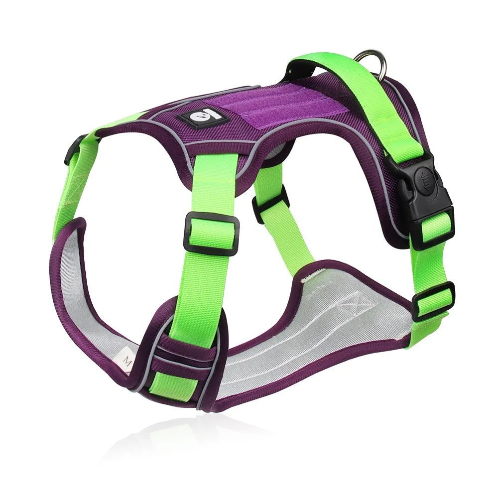 Harnais Chien - Oxfordâą - Vert et Violet - Mr Chien