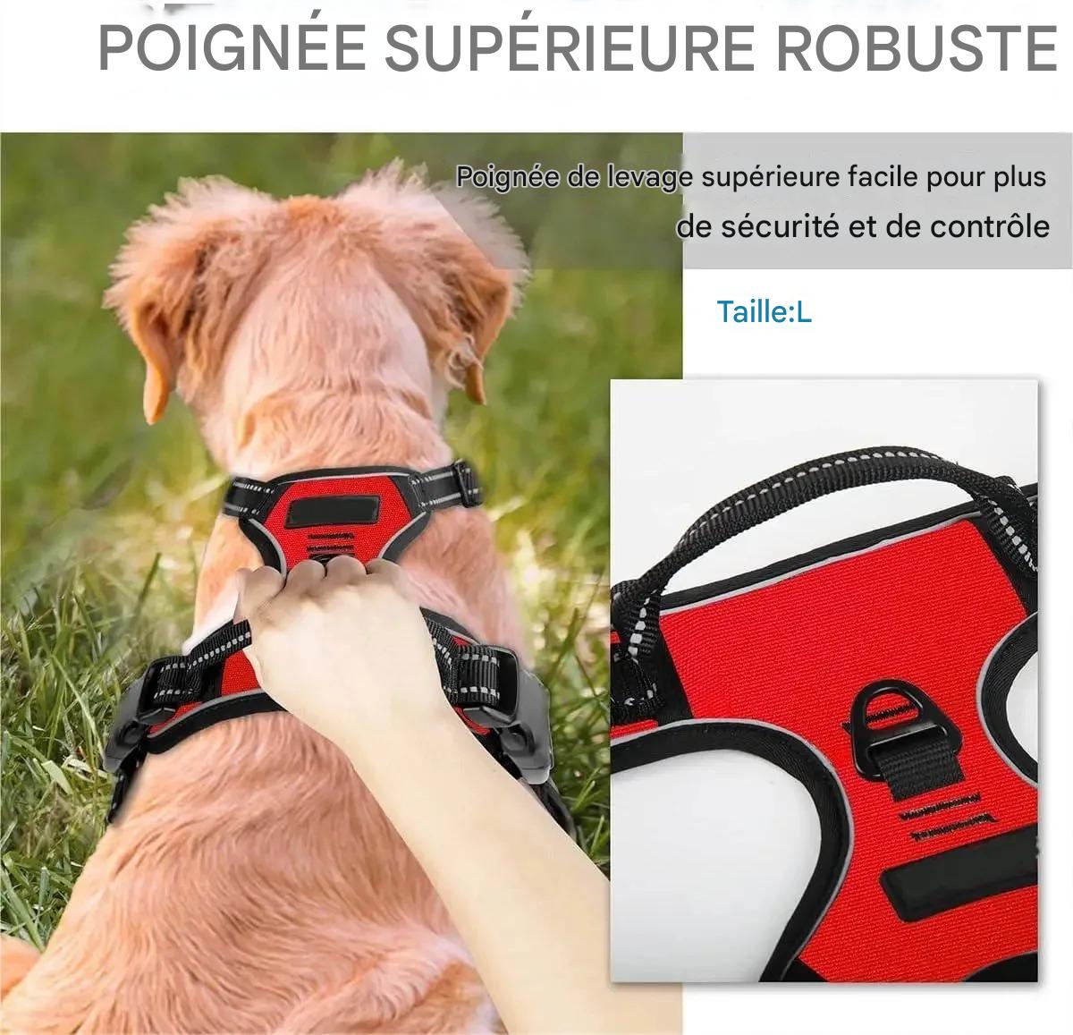 Harnais Chien - T - StyleHarnessâą - Rouge - Mr Chien