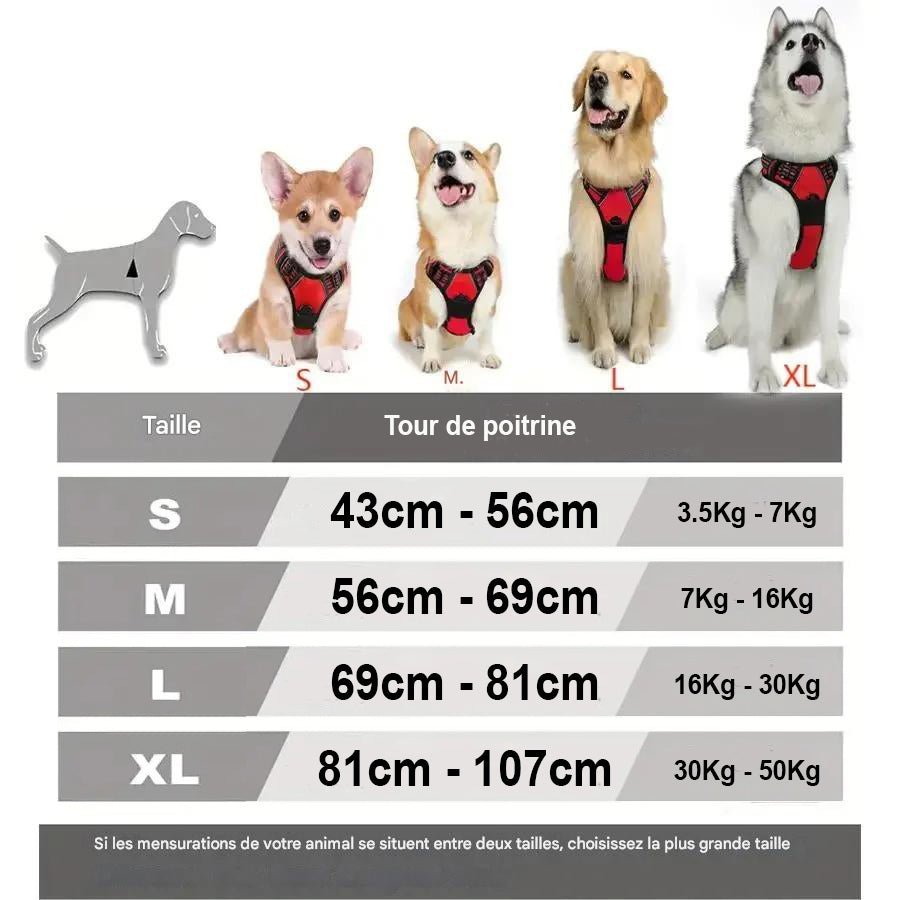 Harnais Chien - T - StyleHarnessâą - Rouge - Mr Chien