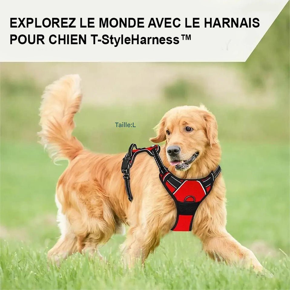 Harnais Chien - T - StyleHarnessâą - Rouge - Mr Chien