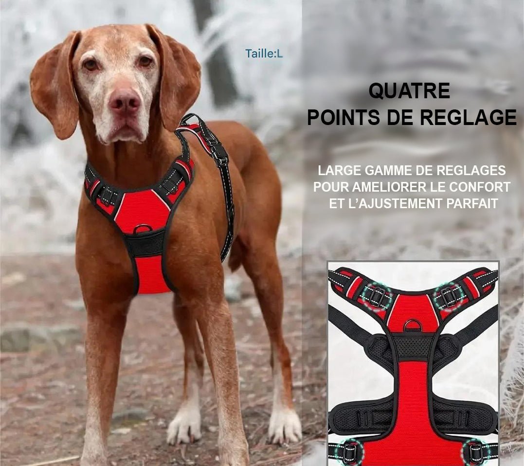 Harnais Chien - T - StyleHarnessâą - Rouge - Mr Chien