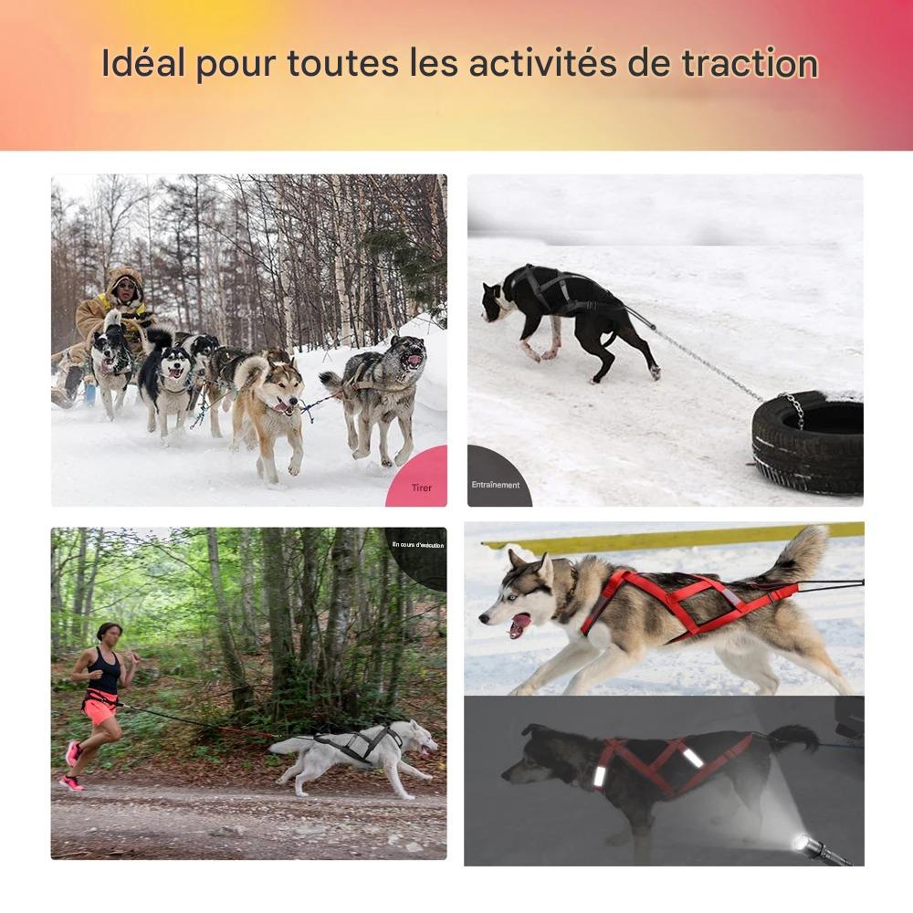 Harnais Chien - TractionKingâą - Fluo - Mr Chien