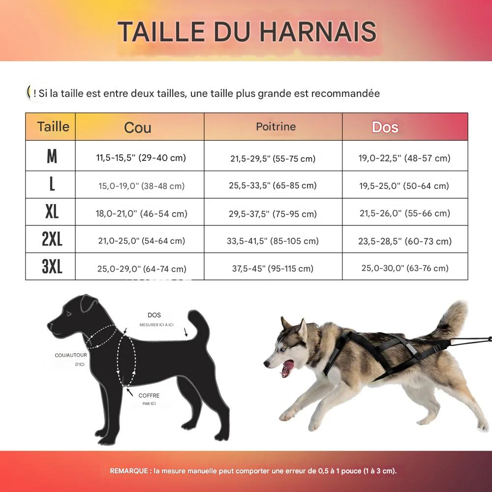 Harnais Chien - TractionKingâą - Noir - Mr Chien