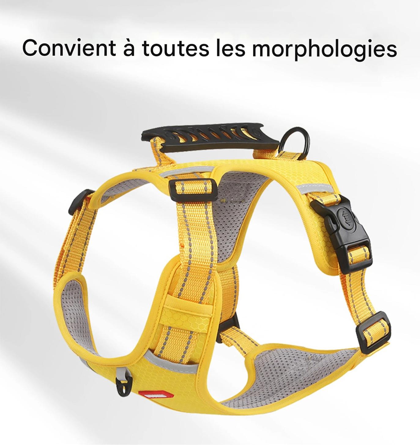 Harnais Chien - Y - holdâą - Jaune - Mr Chien
