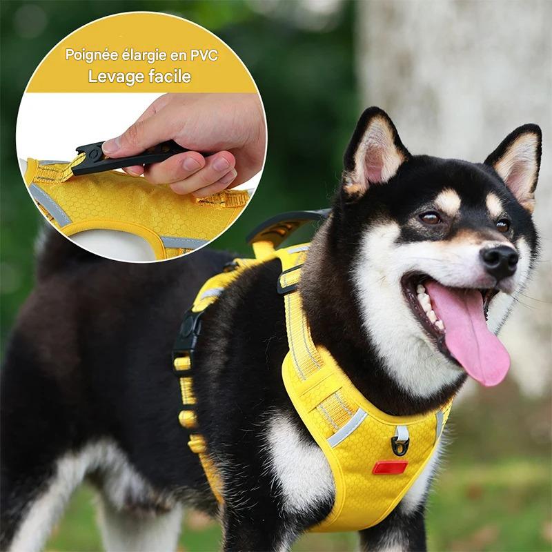 Harnais Chien - Y - holdâą - Jaune - Mr Chien