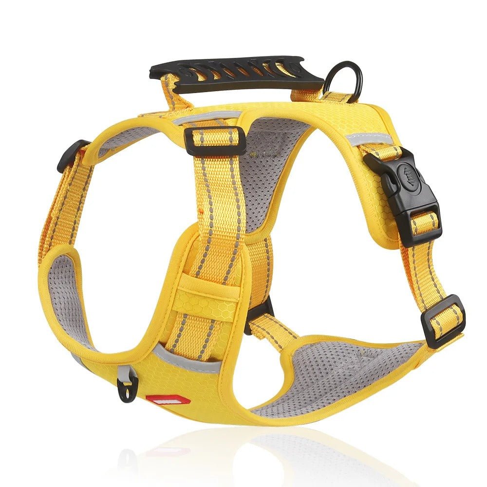Harnais Chien - Y - holdâą - Jaune - Mr Chien
