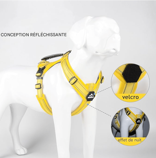 Harnais Chien - Y - holdâą - Jaune - Mr Chien