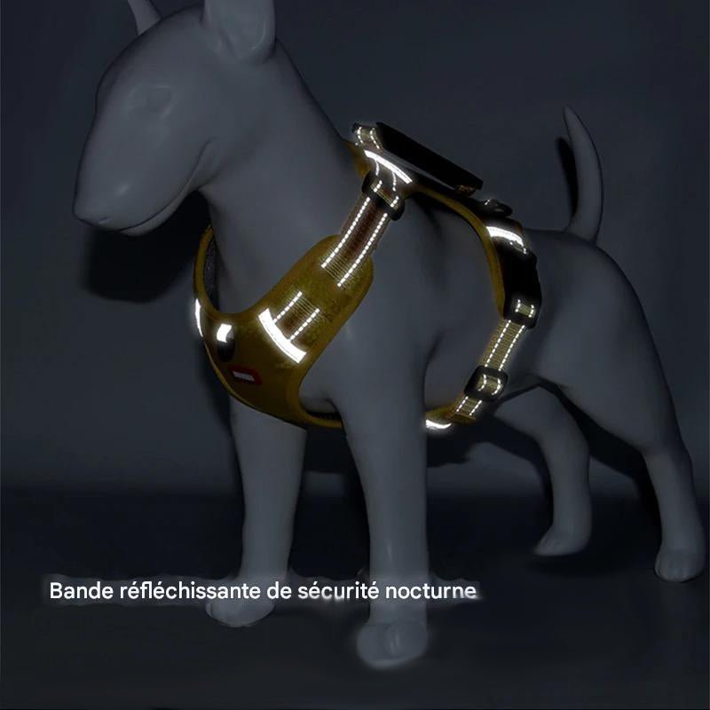 Harnais Chien - Y - holdâą - Noir - Mr Chien