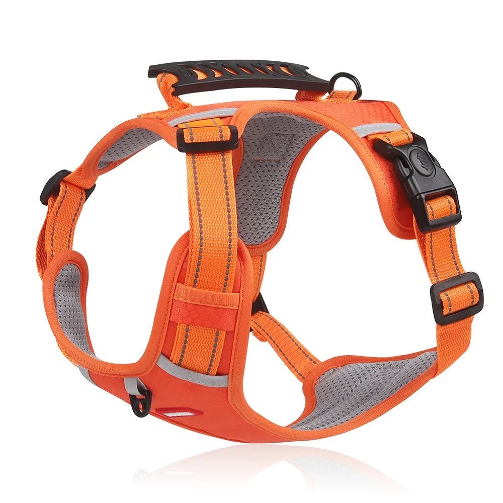 Harnais Chien - Y - holdâą - Orange - Mr Chien