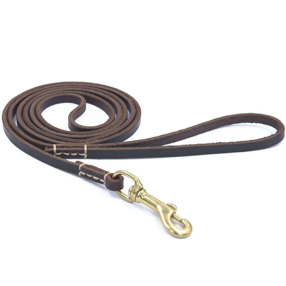 Laisse pour chien - ClassyLeather™ - Cuir Marron - Mr Chien