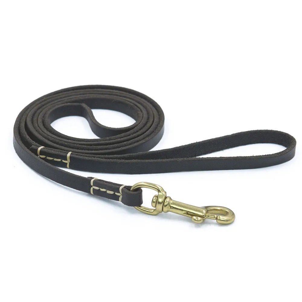 Laisse pour chien - ClassyLeather™ - Cuir Noir - Mr Chien