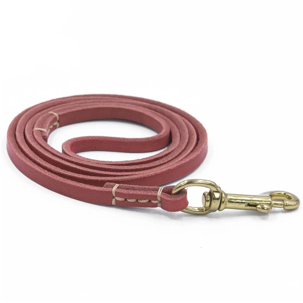 Laisse pour chien - ClassyLeather™ - Cuir Rouge - Mr Chien
