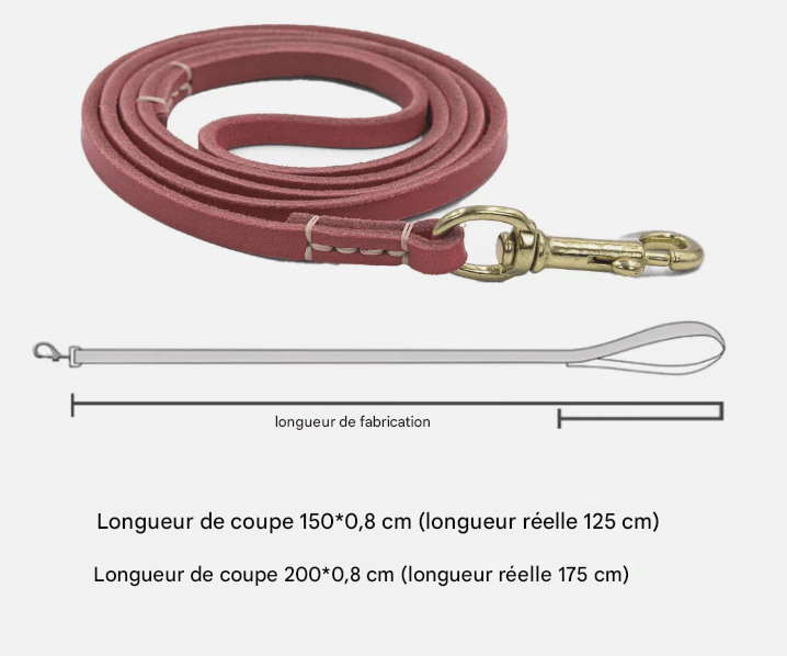 Laisse pour chien - ClassyLeather™ - Cuir Rouge - Mr Chien