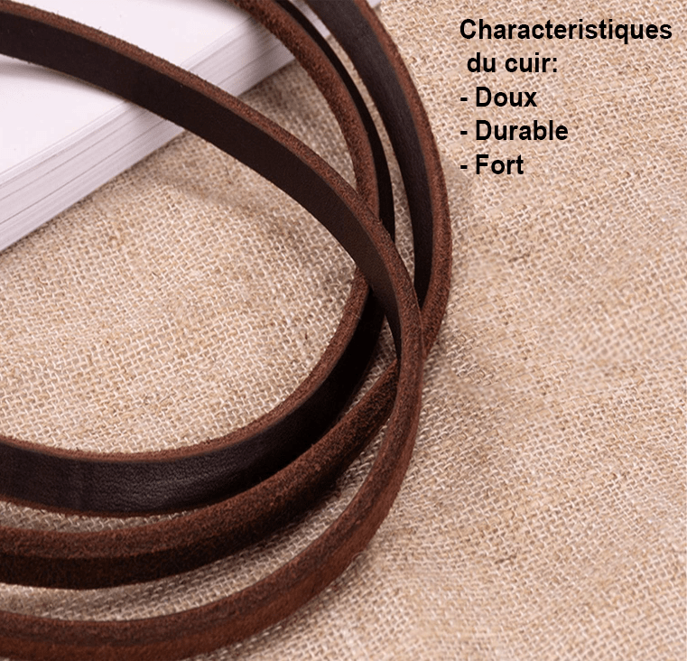 Laisse pour chien - ClassyLeather™ - Cuir Vert - Mr Chien