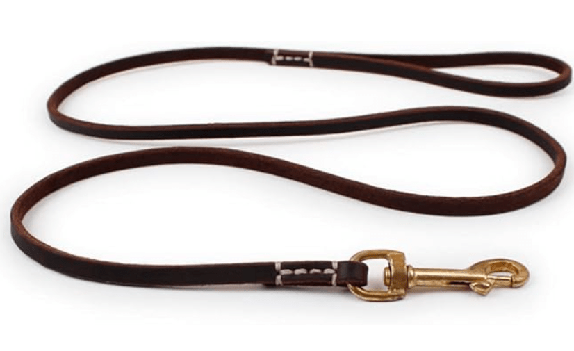 Laisse pour chien - ClassyLeather™ - Cuir Vert - Mr Chien