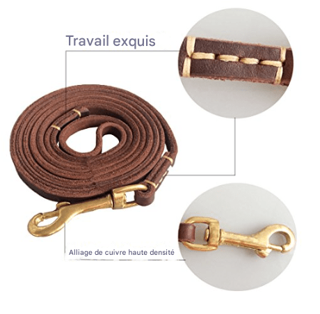 Laisse pour chien - ClassyLeather™ - Cuir Vert - Mr Chien