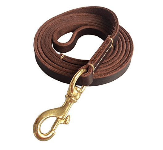 Laisse pour chien - ClassyLeather™ - Cuir Vert - Mr Chien