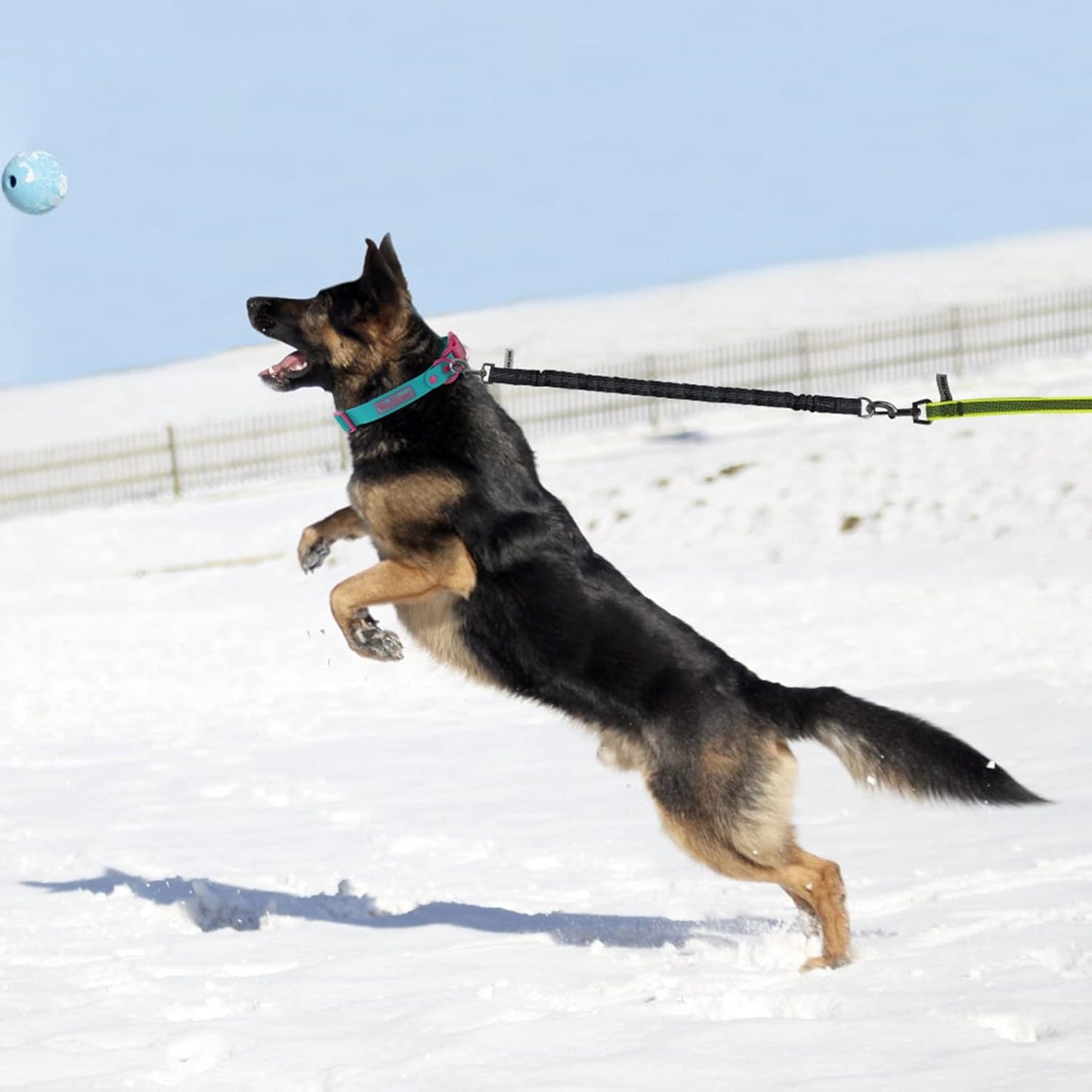 Laisse pour chien - Nylong™ - Jaune - Mr Chien