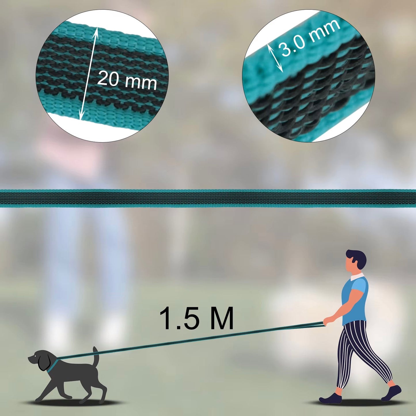 Laisse pour chien - Nylongâą - Vert - Mr Chien