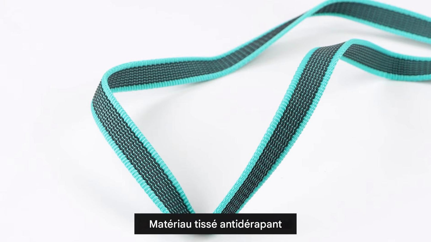 Laisse pour chien - Nylongâą - Vert - Mr Chien