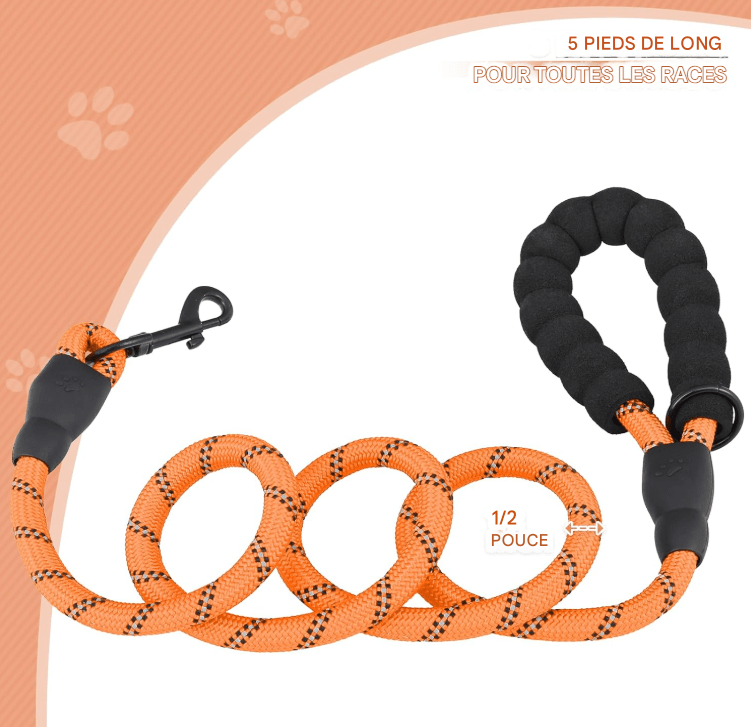 Laisse pour chien - StrongLeash™ - Orange - Mr Chien