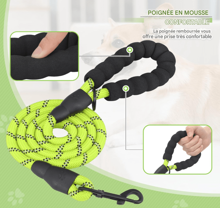 Laisse pour chien - StrongLeash™ - Vert - Mr Chien