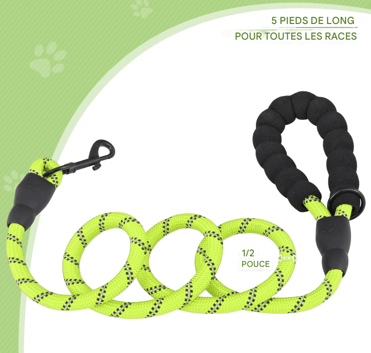 Laisse pour chien - StrongLeash™ - Vert - Mr Chien